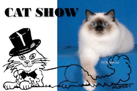 Cats Show.jpg