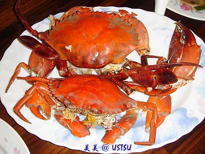 longleg_crab.jpg