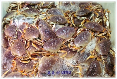 marinaFood_crabs.JPG