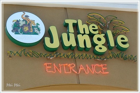 theJungle_front.JPG