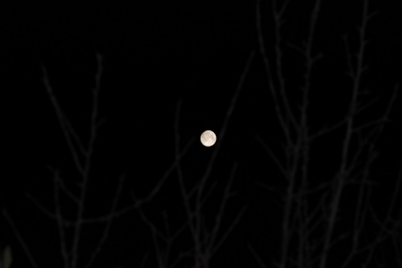 DSC_7859.JPG
