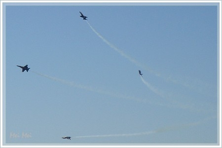 blueAngels_flower.JPG
