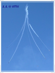 blueAngels_6flower.JPG